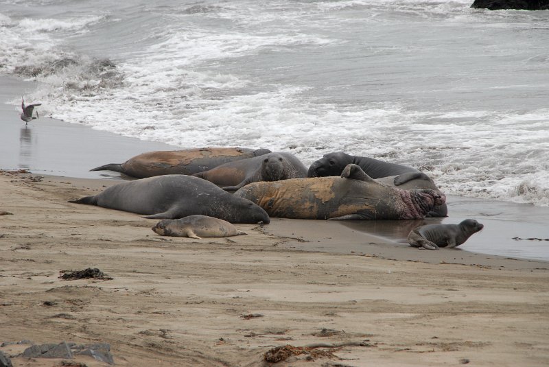 2011-07-23_Santa Barbara_Tag28_181.jpg